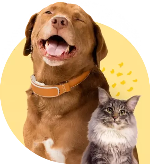 Marca 3 de Bionic on