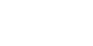 Acacia Flores