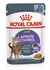 Alimento Humedo Para Gato Royal Canin Pouch Appetite 85 Gr
