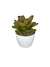 Bromélia Carolinae - Vaso Elegance Redondo 2 - Branco