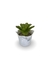Bromélia NeoGreen - Vaso Elegance Floral - Branco Carrara