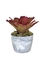 Bromélia Rosa Delicada - Vaso Elegance Redondo 1 - Branco Carrara