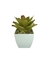 Bromélia Carolinae - Vaso Elegance Quadrado 2 - Branco
