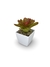 Bromélia Luz do Amanhã - Vaso Elegance Quadrado 1 - Branco