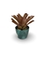 Bromélia Luz que Brilha - Vaso Elegance Redondo 2 - Verde Guatemala