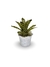 Bromélia Tiger - Vaso Elegance Floral - Branco Carrara na internet