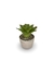 Bromélia NeoGreen - Vaso Elegance Redondo 1 - Travertino