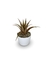 Bromélia Ananás - Vaso Elegance Redondo 1 - Branco