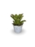 Bromélia Di Cássia - Vaso Elegance Floral - Branco Carrara
