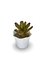 Bromélia Purple - Vaso Elegance Floral - Branco