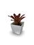 Bromélia Pôr do Sol - Vaso Elegance Quadrado 3 - Branco