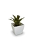 Bromélia Tiger - Vaso Elegance Quadrado 2 - Branco