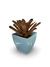 Bromélia Luz que Brilha - Vaso Elegance Quadrado 3 - Azul Bebê