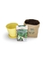 Horta no vaso - Semente Salsa - Vaso Amarelo - Substrato