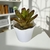 Bromélia Purple - Vaso Elegance Floral - Branco - comprar online