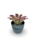 Bromélia Fluorescense - Vaso Elegance Redondo 2 - Verde Guatemala