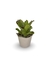 Bromélia Di Cássia - Vaso Elegance Floral - Travertino