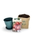 Horta no vaso - Semente Tomate - Vaso Verde - Substrato - comprar online