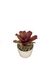 Bromélia Rosa Delicada - Vaso Elegance Redondo 1 - Travertino