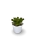 Bromélia NeoGreen - Vaso Elegance Floral - Branco