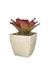 Bromélia Rosa Delicada - Vaso Elegance Quadrado 2 - Travertino - comprar online