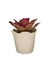 Imagem do Bromélia Rosa Delicada - Vaso Elegance Floral - Travertino