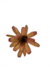 Bromélia Luz que Brilha - Vaso Elegance Floral - Travertino - comprar online