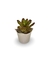 Bromélia Purple - Vaso Elegance Floral - Travertino na internet