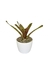 Bromélia Lemon Pepper - Vaso Elegance Redondo 2 - Branco