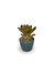 Bromélia Purple - Vaso Elegance Redondo 1 - Verde Guatemala