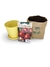 Horta no vaso - Semente Tomate - Vaso Amarelo - Substrato - comprar online