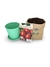 Horta no vaso - Semente Tomate - Vaso Verde Claro - Substrato - comprar online