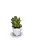 Bromélia Di Cássia - Vaso Elegance Floral - Branco