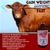 Suplemento Gain Weight Ultra Fast 250ml Engorda Rápida - comprar online