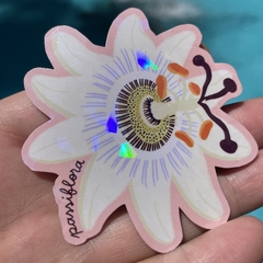 Stickers de plantas medicinales - comprar en línea