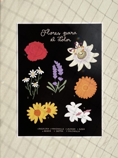 Póster flores medicinales - comprar en línea