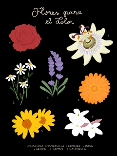 Póster flores medicinales en internet