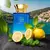 Al Haramain Musk Collection EDP 100ml - Nolien