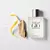 Perfume Giorgio Armani Acqua Di Gio EDT 100ml - Nolien