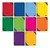 Cuaderno Profesional Espiral Doble O Norma Uno Cuadro Grande 100 h.