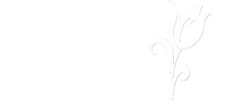 Sofia Flores e Presentes
