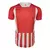 Camisa Diadora Náutico Oficial Jogo I 2024 Torcedor Masculina - Verde+Branco - comprar online