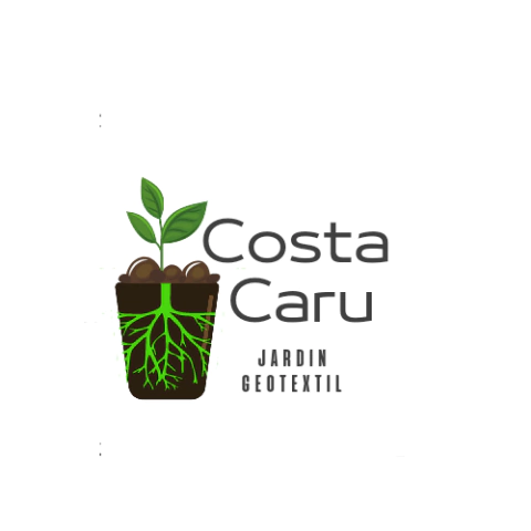 Costa Caru