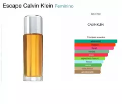 Calvin Klein Escape - Eau de Parfum - Feminino - 100ML - loja online
