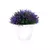 Imagem do Plantas artificiais em vaso, bonsai verde, árvore pequena, plantas de grama, or