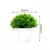 Imagem do Plantas artificiais em vaso, bonsai verde, árvore pequena, plantas de grama, or
