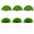 Plantas artificiais em vaso, bonsai verde, árvore pequena, plantas de grama, or na internet