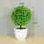 Plantas artificiais em vaso, bonsai verde, árvore pequena, plantas de grama, or