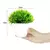 Plantas artificiais em vaso, bonsai verde, árvore pequena, plantas de grama, or na internet