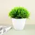 Plantas artificiais em vaso, bonsai verde, árvore pequena, plantas de grama, or - comprar online